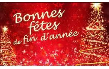 Bonnes Fêtes !!!