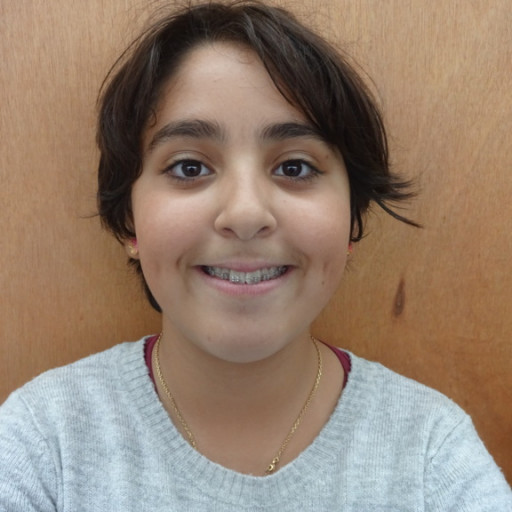 Ines Amiel