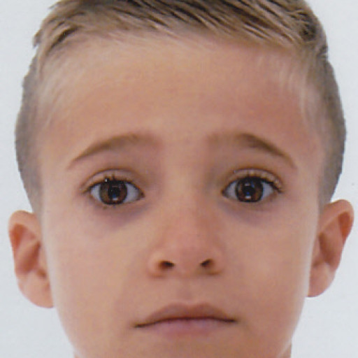 Noah Vienne