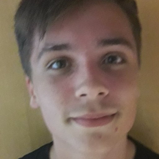 Killiam Collie