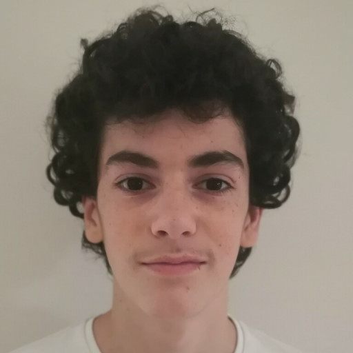 Alexandre Perrot