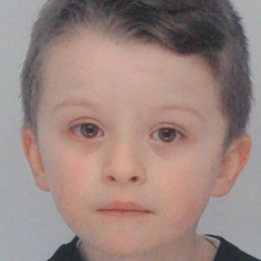Elyas Badis Beauverie