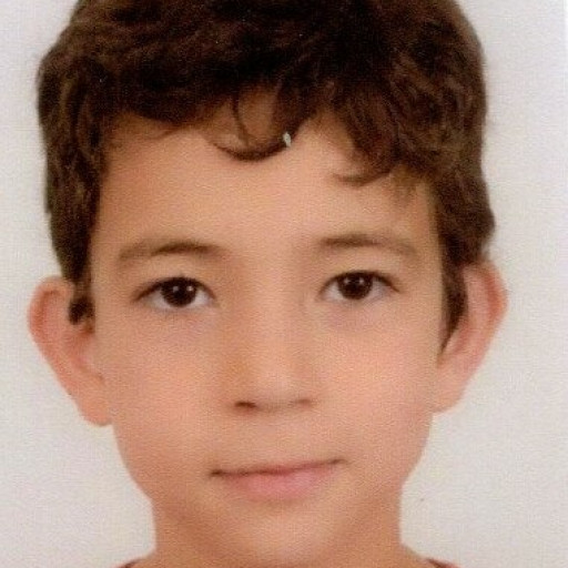 Hamou Benali